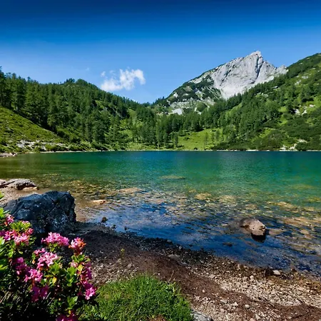 شقة Mittelpunkt Aussee *