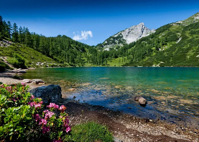 Appartement Mittelpunkt Aussee *